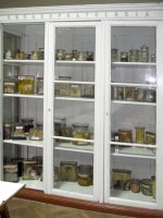 Патологоанатомічний музей